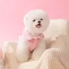 Vêtements pour chiens Jupe de style princesse en dentelle Automne et hiver Chiots Petits chiens de taille moyenne peuvent être tirés pieds chauds Vêtements pour animaux de compagnie