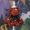 Dog Apparel Pet Supplies Halloween Cat Clothes Pumpkin Skirt Bat Costume Ghost