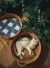 kennels pens Pure Manual Rattan Woven Cat Nest Four Seasons General Dandelion Cool Bed Scratch Board Pet Products 230907