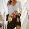 Casual Kleider Vintage Muster Drucken Party Kleid Frauen V-ausschnitt Langarm Lose Fit Büro Damen Sommer A-Line Vestido Streetwear