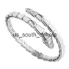 Charm Bracelets Kości Kobiety Kobiety otwarte regulowane dla stali nierdzewnej mężczyźni Micro Diamond Braceletscharm x0909