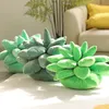 Trend creativity ins cross-border online celebrity simulation Succulent pillow Succulent plant pillow Stuffed toy children's gif