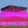 LED Grow Grow Light 2000W 3000W 전체 스펙트럼 온실 Phytolamp LED 식물 조명 144T