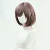 Shinonome Ena Cosplay Full Wig Brawed Brown Heorth Resistance Fiber Anime Wigss205v