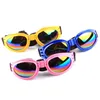 Autres fournitures pour chiens 5pcs / lot Pl Wind Fashion Dogs Accessoires pour animaux de compagnie Lunettes de soleil pliables pour animaux de compagnie Lunettes de soleil coupe-vent et anti-mites Drop Deli Otewa