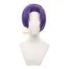 Cosplay Wigs Anime Blue Lock Mikage Reo Cosplay Wig Purple Ponytail Hair Team V No.9 Football Player Seishiro Nagi Halloween Accessory Men 230908