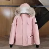 Piumino pilota da uomo canadese vera pelliccia di lupo con cappuccio in tela Parka lettera patch tasche con cerniera caldo spesso capispalla designer donna inverno cappotto d'oca ha5