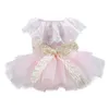 Vêtements de chien robe de chiot peau-toucher animal de compagnie tulle ourlet mariage belle fille mignonne accessoires