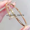 Zincir Lüks Glamour Ladies Bilezik Klasik Tırnak Bangle Unisex Sevgililer Günü Düğün Hediyesi 18K Altın Takı Paslanmaz Stee219V X0909