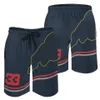 f1 racing pants shorts formula 1 team mens clothing fan clothing casual breathable beach pants224q