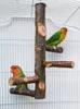 Other Bird Supplies Pet Parrot Standing Stick Wood Pole Cockatiel Parakeet Perches Bite Claw Grinding Toy Cage Accessories 230909