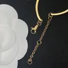 Nouveaux créateurs de mode Bracelets à la mode Bracelet cadeau de luxe Femmes Designer Bijoux Femmes Ornements Argent Chaîne en or Chaînes de fête de mariage