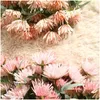 Couronnes de fleurs décoratives Simation griffe de crabe chrysanthème fleur artificielle de haute qualité accessoires de décoration de maison mariage Bou Otazw