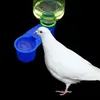 Trädgårdsdekorationer 1020st Bird Quail Drinker Cups Water Bottle Cup Cat Chicken Parrot Hamster Double Munstycke Guide för familj 230909