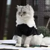 Kattenkostuums Kat meid outfit lente en zomer cos uniform omgezet in kattenkleding huisdier rok hondenkleding benodigdheden 220908278A