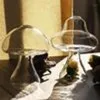 Transparante Paddestoelvormige Glazen Vaas Mooie Hydrocultuur Plant Creatieve Ambachten Decor Voor Thuiskantoor Woonkamer Vases278w