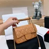 Femmes Luxury Brand Channell Sac Handle en bois Portage de poteau sac à main Small Sac Chain Crossbody Sac Party préféré 20 cm