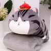 Bedding Sets Soft 2 In 1 Multifunction Totoro Plush Toy Pillow Animal Cartoon Doll Cushion Baby Kids Nap Blanket 230909