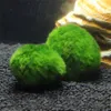 5pcs Marimo Moss Ball Akvaryum Bitkileri Terraryum Cladophora Balık tankı süsleri249a