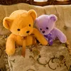 Wholesale brown teddy bear plush toy dolls, cute pillows, cloth dolls, home decoration gifts