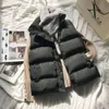 Ned Cotton Vest Short Womens Jacket Autumn and Winter Korean version av Loose Collar All Matching