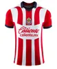 3XL 2023 2024 Chivas de Guadalajara Soccer Jerseys 200e anniversaire 23 24 LIGA MX I. BRIZUELA A. VEGA J. SANCHEZ S. FLORES maillot de football t F. BELTRAN GONZALEZ G. OROZCO