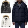 veste homme doudoune Parka vêtements d'extérieur haut de gamme à capuche fourrure de loup coupe-vent imperméable rembourré épaissir manteau bas remplissage manteaux Out276V