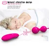 NXY Vibrators Vaginale Ballen Remote Vibrator Speeltjes voor Vrouw Vibrerend Ei Vrouwen Kegel Volwassen 230809