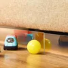 Porte-chats, pare-chocs de jouet réglable sous le fond du canapé et du lit, pour protéger les espaces, meubles, panneau de déflecteur pour animaux de compagnie