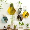 Decoratieve platen Home Decor Hangende wandplank Bloempot Planken Opslaghouder Zeshoekige Box Kamer Creatieve combinatie