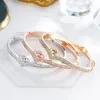 Bangle Fashion Heart Crown Diamond Armband Korean Style Gold Rose Silver Plated Bangles for Women