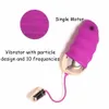 Jouets pour adultes USB chargeant 10 vitesses télécommande sans fil vibrant amour oeuf vibrateur jouet sexuel pour femmes érotique vagin Vibro culotte rose 230911