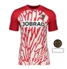 23 24 Grifo sc freiburg futbol formaları ev uzakta kyereh weisshaupt ginter keitel 2023 2024 gregoritsch holer kobler yumurta fan versiyon jersey futbol gömlekleri üst