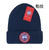 Chapéu de malha canadá gorro feminino clássico alfabeto ganso impressão chapéu de malha popular ao ar livre moda de luxo gorros masculinos chapéus