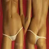 Sexy Low-Rise Ice Silk Transparent Sexy G-String Höschen G-String Micro Tanga Plus Size Damen Schlüpfer Glatte Slips FX05327t