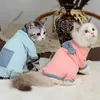 Costumi per gatti Tuta Colori contrastanti Fiocco ad alta elasticità Morbido e confortevole Mantieni caldo Decorazione per abbigliamento a 4 zampe