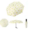 Umbrellas Ladies Automatic Umbrella Sunscreen UV Protection Grapefruit Peach Fruit Sunshade Three Folding Sunny Rain Women