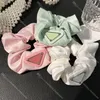 High Elasticity Macaron Color Hair Rope Letter Silk Hair Rubber Bands Large Intestine Hair Loop Satin Headrope Hair Accessories