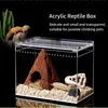 Fournitures de reptiles Boîte d'élevage en acrylique transparent Araignée Lézard Amphibien Terrarium Étanche Habitat pour animaux de compagnie Tarantule arboricole Enclre 230909