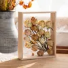 Ramar Flower Display Frame Transparent Bouquet Dry Wood Box Wall Mount Exempel Lagring Heminredning