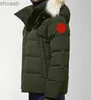 Męskie Parkas Puffer Kurtki Coyote Fur Wyndham Jassen Owezyjna odzież z kapturem Fourrure Manteau Kurtka Hiver Parma Doudoune HKD230911