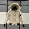 Männer Daunen kanadische Männer Pilot Daunenjacke Echt Wolf Pelz mit Kapuze Leinwand Brief Patch Reißverschlusstaschen warme dicke Oberbekleidung Designer Frauen Wintermantel L230911