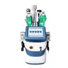 Groothandelsprijs 360 Cryolipolysis Lichaam Afslanken Vet Bevriezing Machine Met RF Cavitatie Cellulitis Vermindering Machine