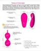 NXY Vibrators Vaginale Ballen Remote Vibrator Speeltjes voor Vrouw Vibrerend Ei Vrouwen Kegel Volwassen 230809