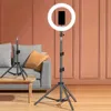 10 Inch LED Circle Light With Flexible Tripod Stand & Phone Holder, For Photo Selfie Video Recording Zoom Meeting