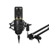 Mikrofoner BM 800 Microphone Condenser Professional Home Studio BM800 Inspelning för datorljudkort