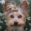 Hundebekleidung 10 teile / los Katze Haarbögen mit Gummibändern Haustierzubehör Halloween Pflege Haustiere Kopfbedeckung für Welpen Kätzchen Chihuahua 230911