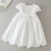 Baby Mädchen Kleid Neues Elegantes Prinzessin Kleid Säugling Taufe Kostüm Baby Geburtstag Hochzeit Party Abschlussball Abend