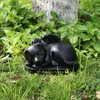 Urna per animali domestici, urna per cani e gatti, commemorativa per ceneri di cani e gatti, scatola funebre per cremazione