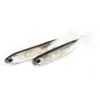 Iscas iscas 5pcslot pesca isca macia 7cm 75cm 17g 23g 27g t cauda peixe arco-íris cor lantejoulas swing spinner 230911